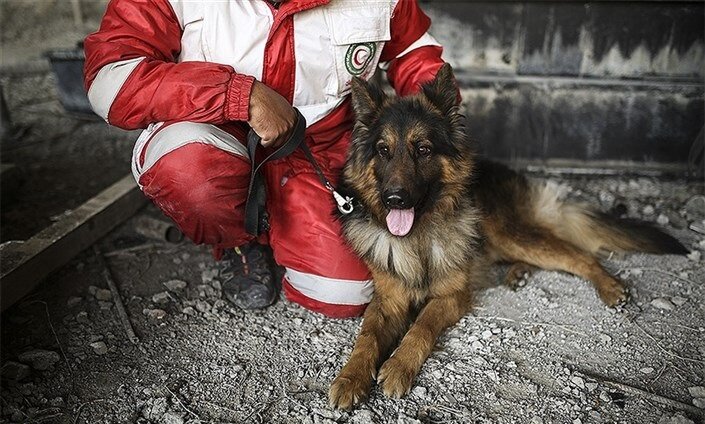 تصاویر | ریزش یک ساختمان ۱۰ طبقهای در حال ساخت در آبادان! | یک فوتی و ۴ مصدوم | اعزام سگهای زندهیاب به محل حادثه