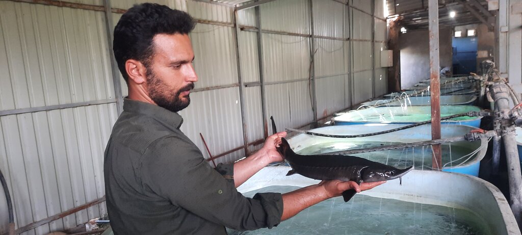 ببینید؛ یک گونه دریایی عصر دایناسورها در احمدآباد مستوفی