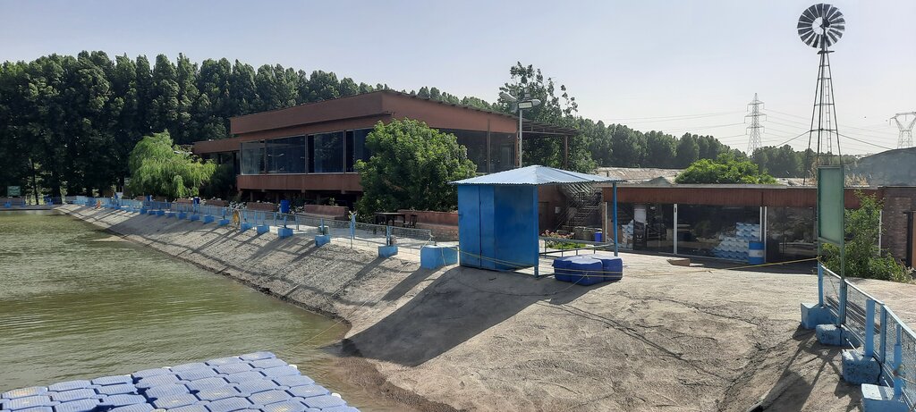 ببینید؛ یک گونه دریایی عصر دایناسورها در احمدآباد مستوفی