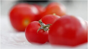 گوجه فرنگی‌های ویرایش ژنی‌شده با میزان بالای ویتامین D به بازار می‌آیند