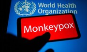 چین کیت آزمایش آبله میمونی  را آماده می‌کند | ساخت واکسن در طول یک سال ممکن است