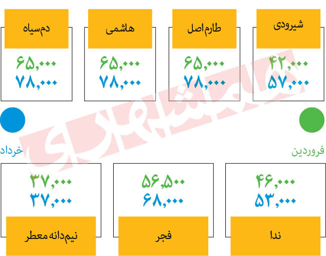  خداحافظی برنج با نرخ مصوب |‌ ارزان ترین برنج چند؟