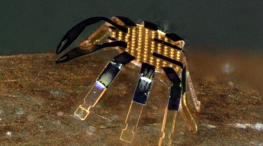 ساخت کوچک‌ترین روبات‌های راه‌رونده جهان | خرچنگ‌های میلی‌متری به کمک انسان‌ها می‌آیند