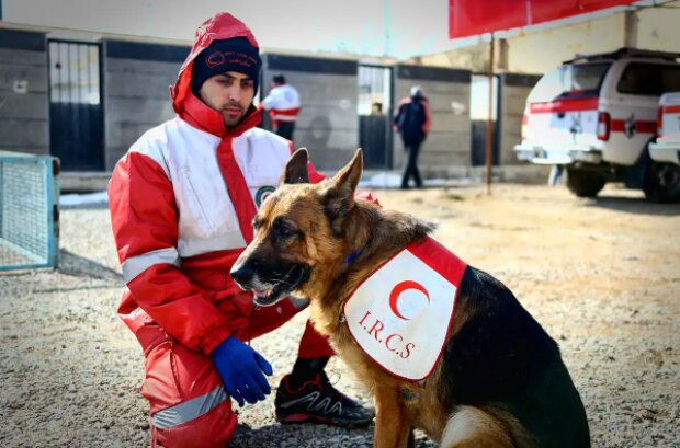 سگ زنده یاب