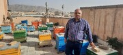 تولید عسل روی پشت بام‌های پایتخت | فرانسوی‌ها مشتری عسل تهران شدند