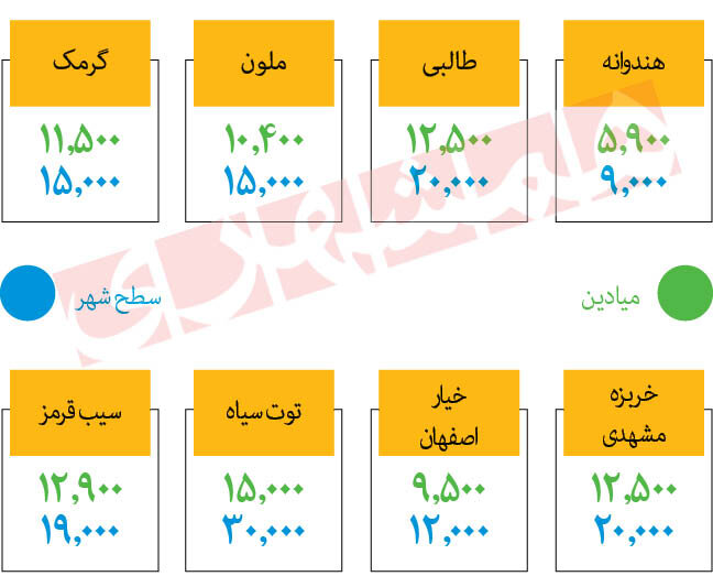 میوههای زیر ۱۵هزار تومان در میادین