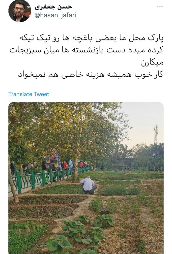 اختصاص باغچه در بوستانی برای سبزیکاری به شهروندان|