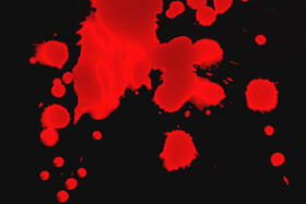 جزئیات قتل همسر رئیس تعزیرات همدان | مقتول آدم موجه و محترمی بود اما... | این زن با صورت کبود سر کار می‌رفت + عکس