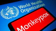 آبله میمونی به ۲۳ کشور جهان رسیده است | میزان خطر برای بهداشت عمومی فعلا در حد «متوسط» است