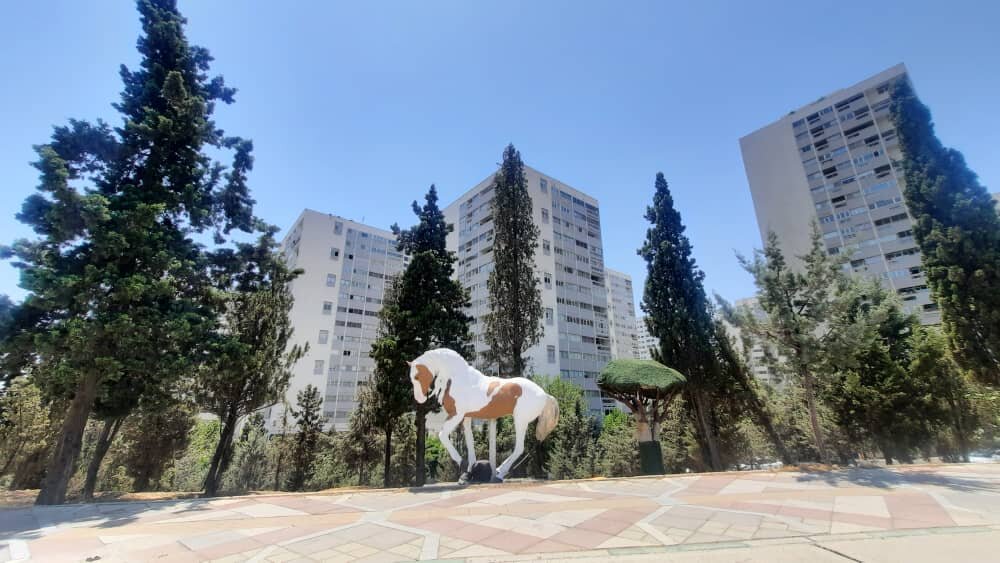 ببینید | یوزهای ایرانی در شهرک غرب