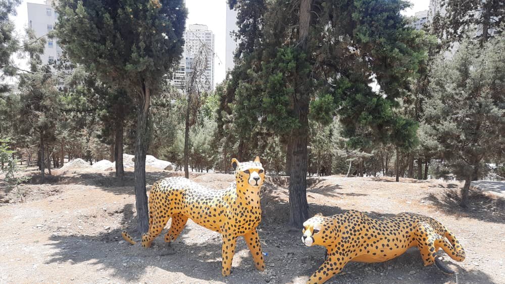 ببینید | یوزهای ایرانی در شهرک غرب