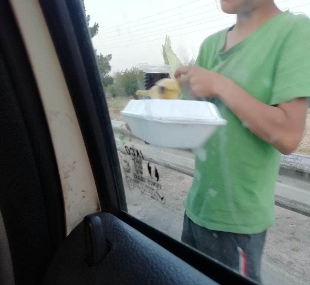 کسب و کار شیرین خواهران قناد | از کیک و کوکیپزی تا کورههای آجرپزی