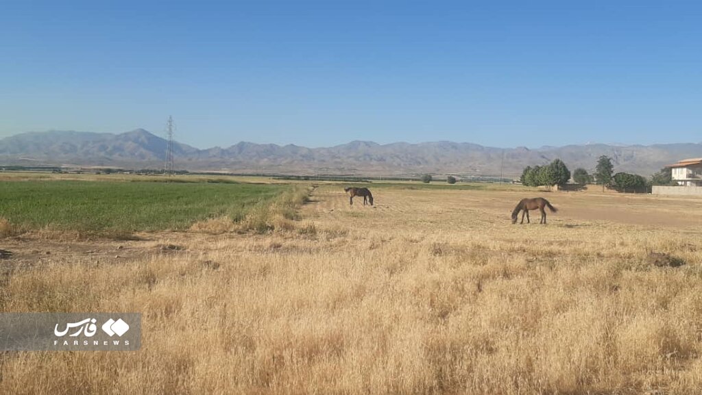 روستایی ایتالیایی بیخ گوش پایتخت | مردمی با زبان رومانو و خط لاتین + تصاویر