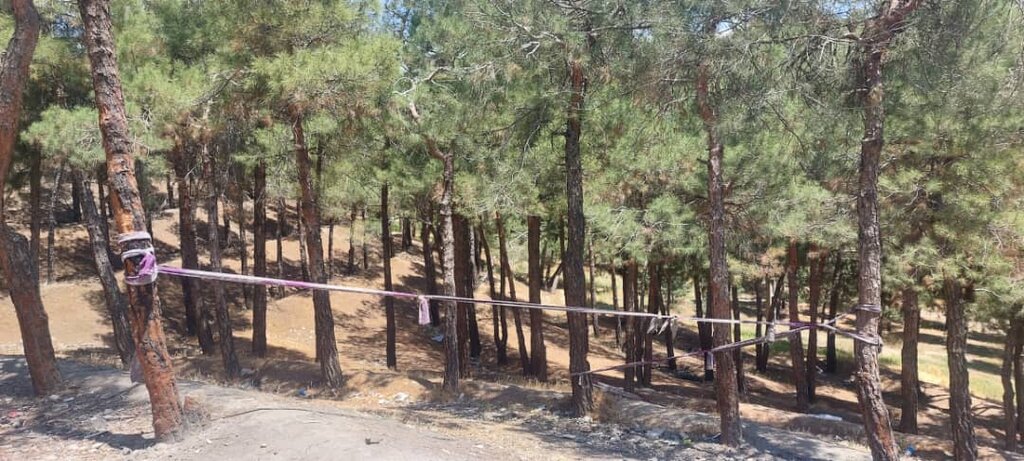 معتادان در بوستان جنگلی لویزان چه میکنند؟ | غافلگیری با طرح جدید پلیس و شهرداری