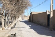 روزی روزگاری «قلعه سیدها» | بررسی پرونده یک روستای ١٠٠‌ساله در جنوب تهران