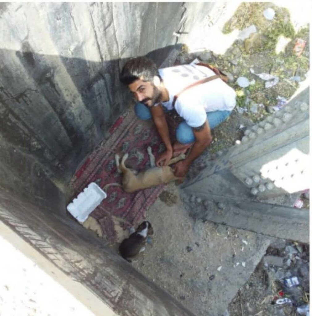 ناجی حیوانات معلول، آسمانی شد | با وام ازدواجش آمبولانس حیوانات خریده بود