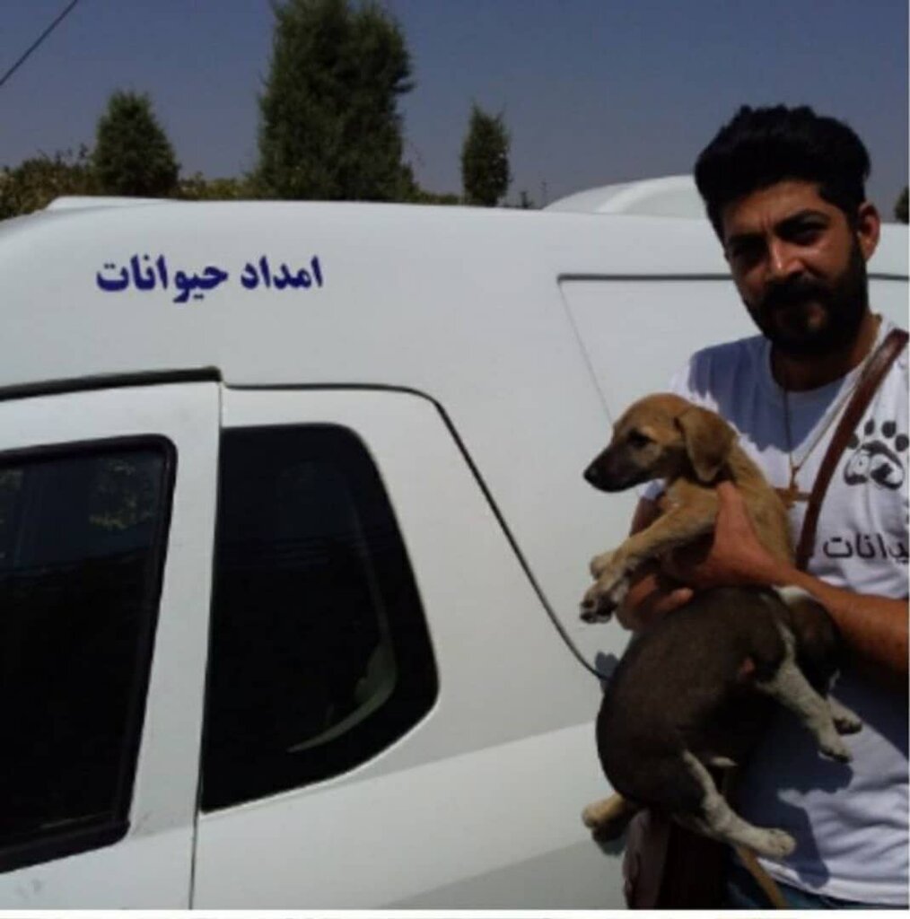 ناجی حیوانات معلول، آسمانی شد | با وام ازدواجش آمبولانس حیوانات خریده بود
