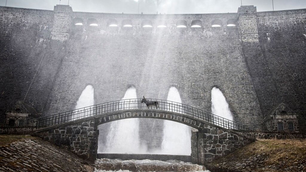 فیلم زندگی یک الاغ برنده هیات داوران کن شد