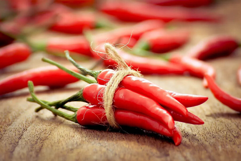 Chili red pepper - فلفل قرمز - چیلی