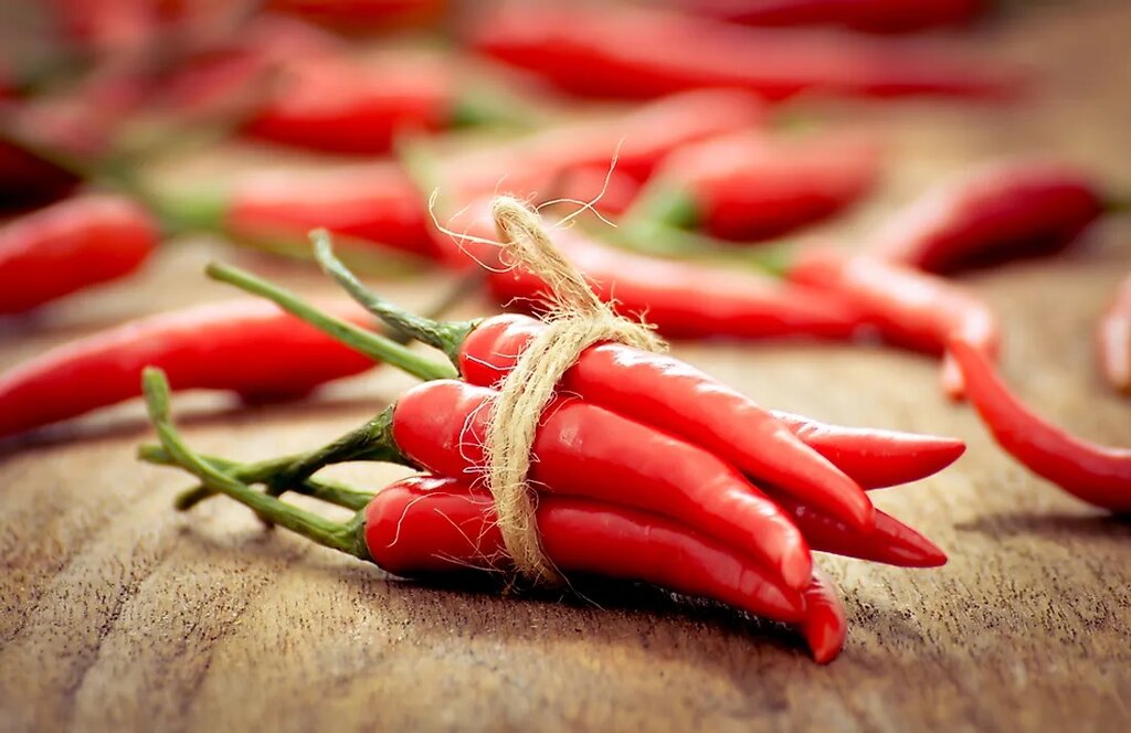 Chili red pepper - فلفل قرمز - چیلی