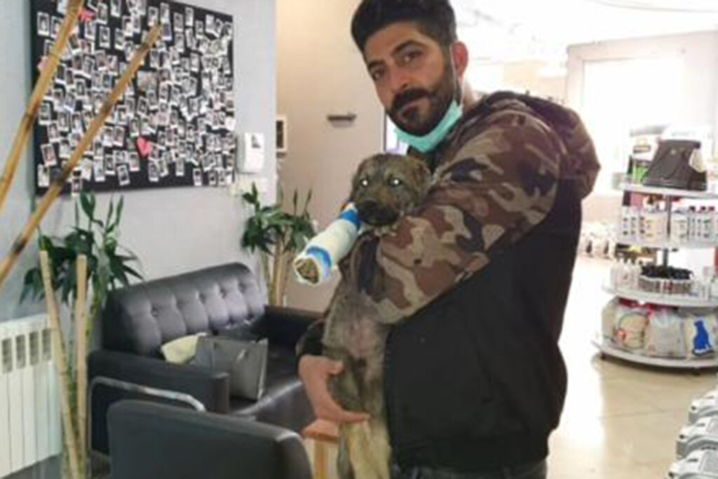 ناجی حیوانات معلول آسمانی شد | با وام ازدواجش آمبولانس حیوانات خریده بود حامد بلوری