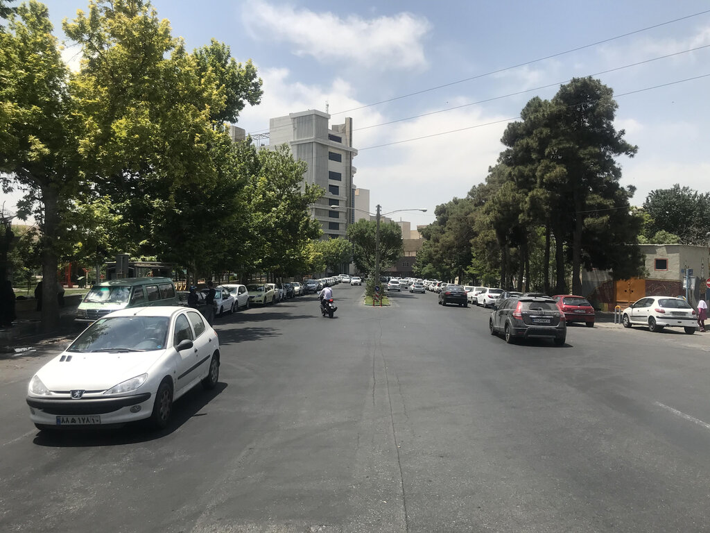 چرا کسی همسر ارباب را ندید؟