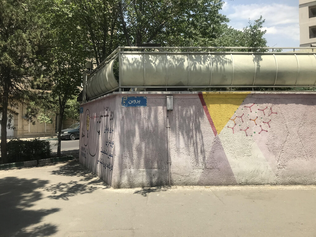 چرا کسی همسر ارباب را ندید؟