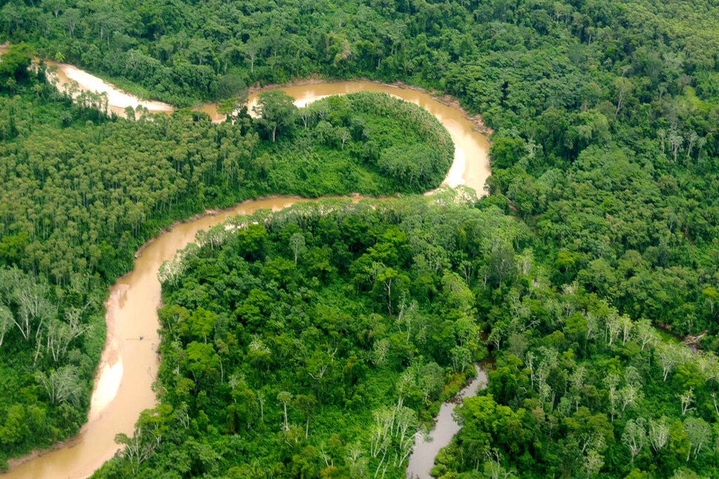 جنگل‌زدایی آمازون