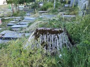 تصاویر خاص‌ترین قبر قدیمی ایران ؛ مزارهایی با سایه‌بان‌هایی چوبی و عجیب | اهالی روستا اینگونه به مردگان خود احترام می‌گذاشتند