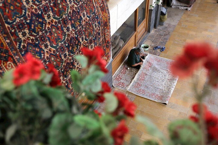 داستان یک فرش، داستان یک زندگی | عشق به فرش سودای مهاجرت را از سرم انداخت  