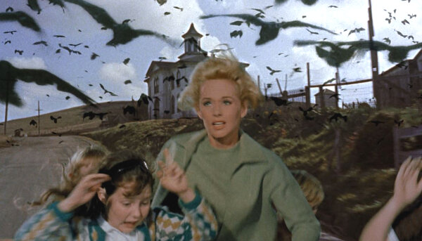 بازیگران و کارگردانهای هالیوودی که به خون هم تشنهاند