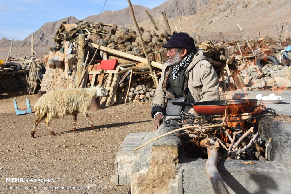 تصاویر | نشان درجه یک هنری برای پدر شهیدی که با شنیدن صدای شجریان آواز خواندن را آموخت