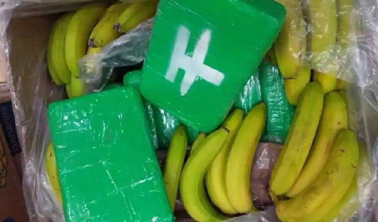کوکائین در جعبه‌های موز! | ۸۶ میلیون دلار پودر سر از میوه‌فروشی‌ها درآورد