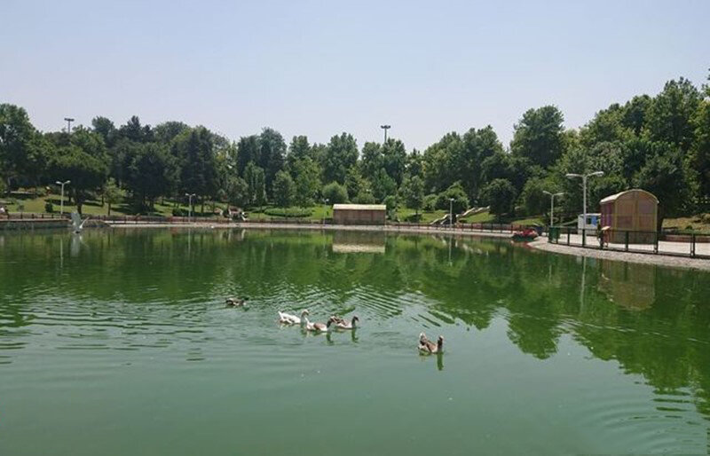 ماجرای غول آهنی خفته در پارک بزرگ جنوب پایتخت| این هواپیما چگونه در فرح آباد به زمین نشست؟