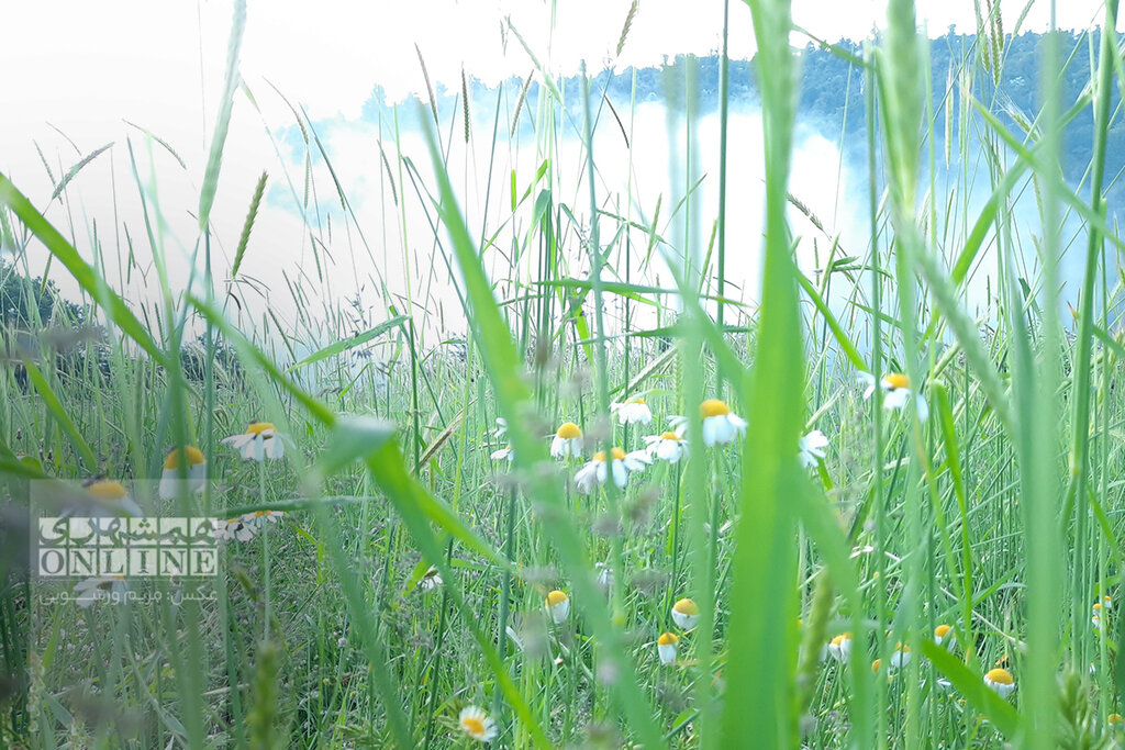 ببینید | اینجا محل عبور فرشتگان است، زمین را آلوده نکنید | غاری که به احترام آب پابرهنه وارد آن میشدند | صعود تا آشیانه عقاب و غار یخی درفک