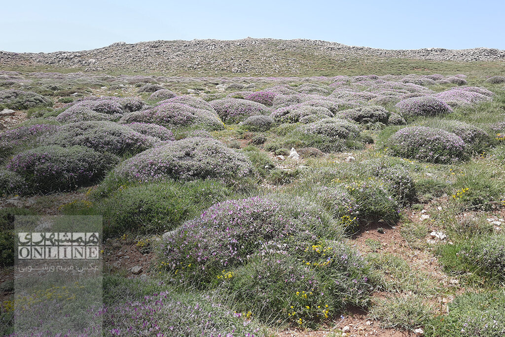 ببینید | اینجا محل عبور فرشتگان است، زمین را آلوده نکنید | غاری که به احترام آب پابرهنه وارد آن میشدند | صعود تا آشیانه عقاب و غار یخی درفک