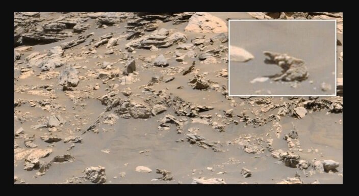 مجسمه فیل در مریخ مشاهده شد | اثبات وجود حیات در سیاره سرخ به ادعای یک محقق