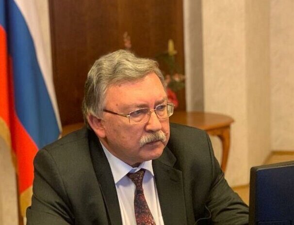 میخائیل اولیانوف، نماینده روسیه در سازمان‌های بین‌المللی