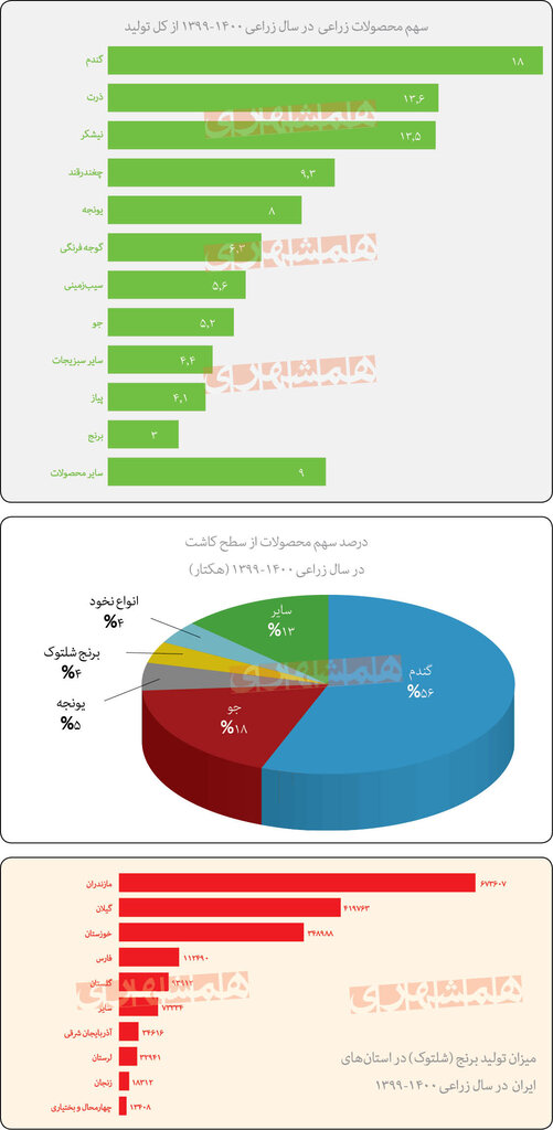 سال سخت کشاورزی؛ احتمال کاهش تولید محصولات زراعی در ۱۴۰۱ | سطح کشت گندم، برنج و جو کمتر میشود