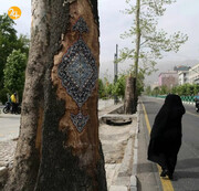 تصاویر دیدنی آثار هنری روی تنه خشکیده درختان و معابر تهران | این آثار در کدام نقاط شهر هستند؟