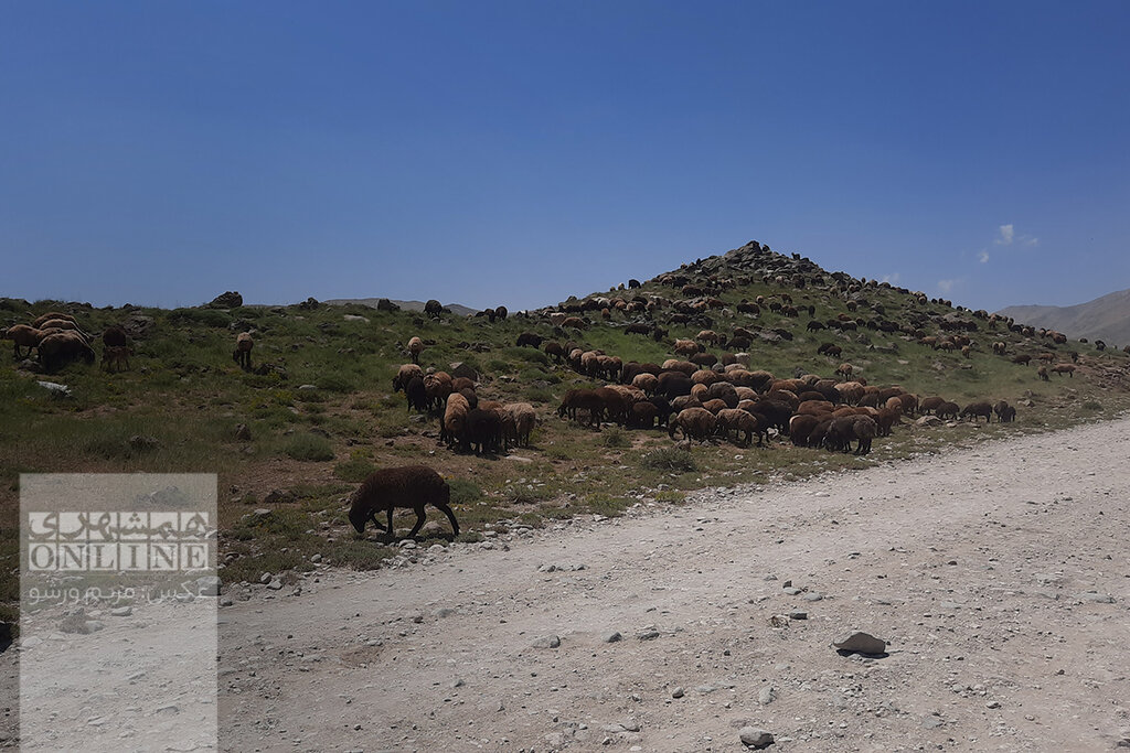 ببینید | زیباترین چشمانداز دشت لار در پای آبشار سفیدآب (قو) | راه قدیم بلده مازندران به تهران کجاست؟ | دوبرار؛ چشمهای که خنکایش زبانزد است
