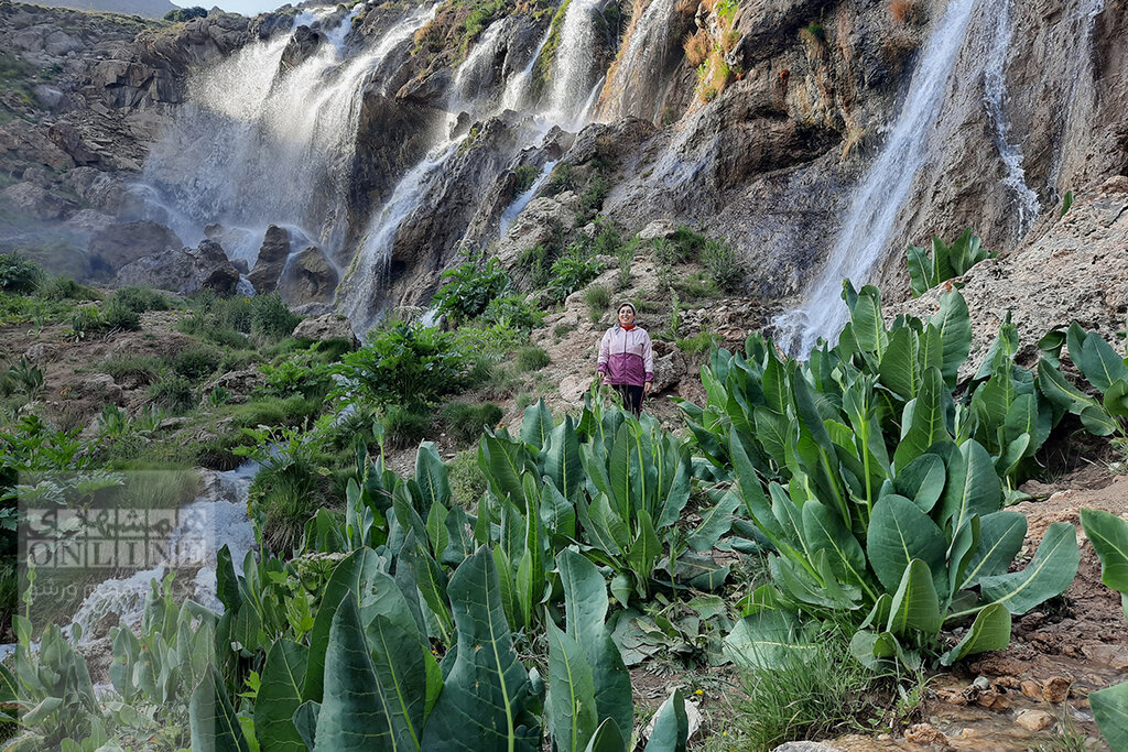 ببینید | زیباترین چشمانداز دشت لار در پای آبشار سفیدآب (قو) | راه قدیم بلده مازندران به تهران کجاست؟ | دوبرار؛ چشمهای که خنکایش زبانزد است