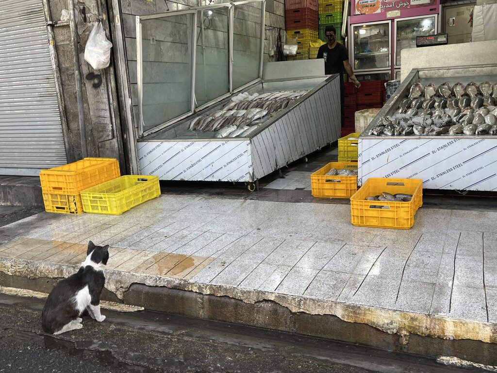 بازارچه شهرستانی در چند قدمی تحول