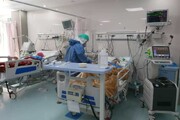 اعلام مبتلایان قطعی به بیماری وبا در ایران | ۸۵ درصد مبتلایان در این ۲ استان