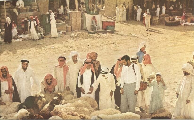 حاجیان برای انتخاب قربانیان روز عید خود به صحرا می‌رفتند