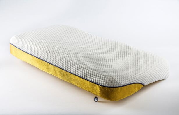 گرانقیمتترین بالش دنیا ۱.۸ میلیارد تومان قیمت دارد | علت چنین قیمتی چیست؟