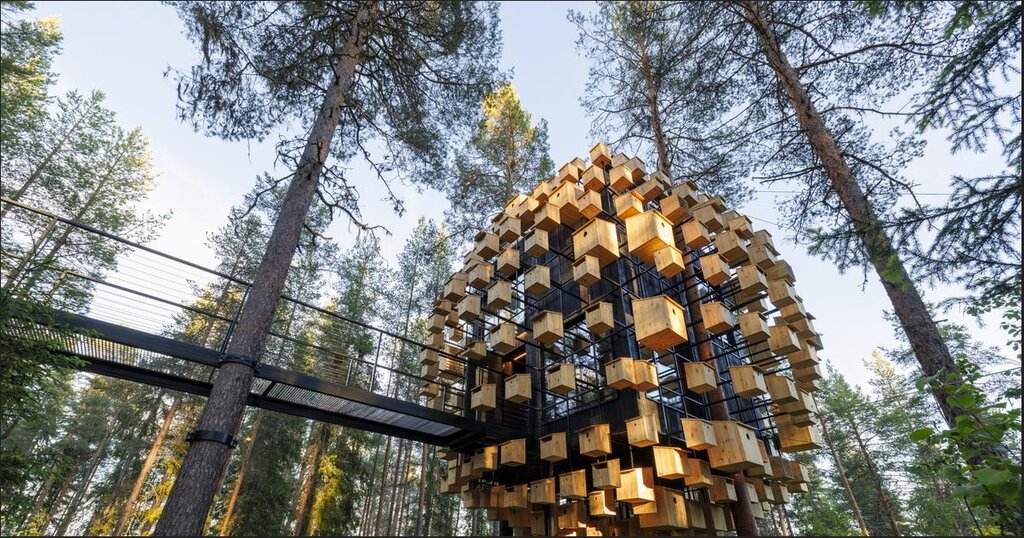 هتل خانهدرختی؛ زیستبوم مفهومی جدید برای اقامت و استراحت زیست بوم جدید