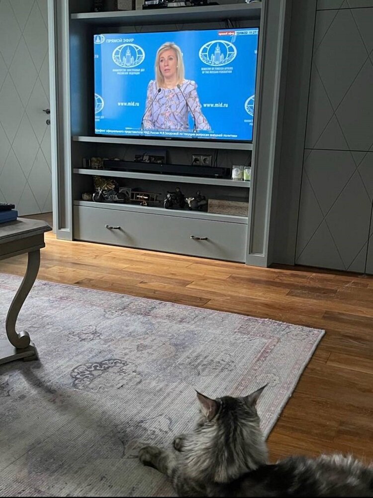 تصویری که سخنگوی جنجالی منتشر کرد | در انتظار نظرات آتشین