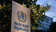 سازمان جهانی بهداشت: آبله میمونی در این مرحله یک اضطرار جهانی نیست