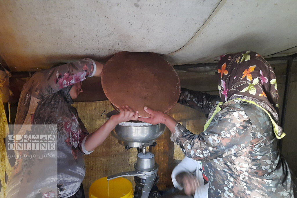 تصاویری از زندگی جذاب عشایر تهران در دل دشت لار | وقتی دستگاههای مدرن جای مَشک را میگیرند | روش کار خامهگیر دستی را ببینید